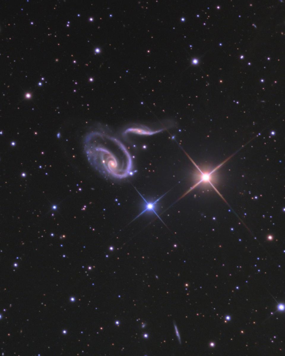 Arp 273