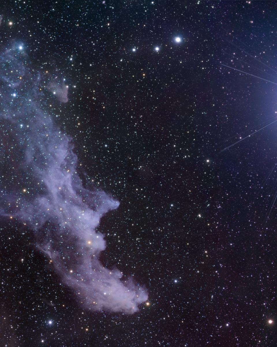 A Witch by Starlight