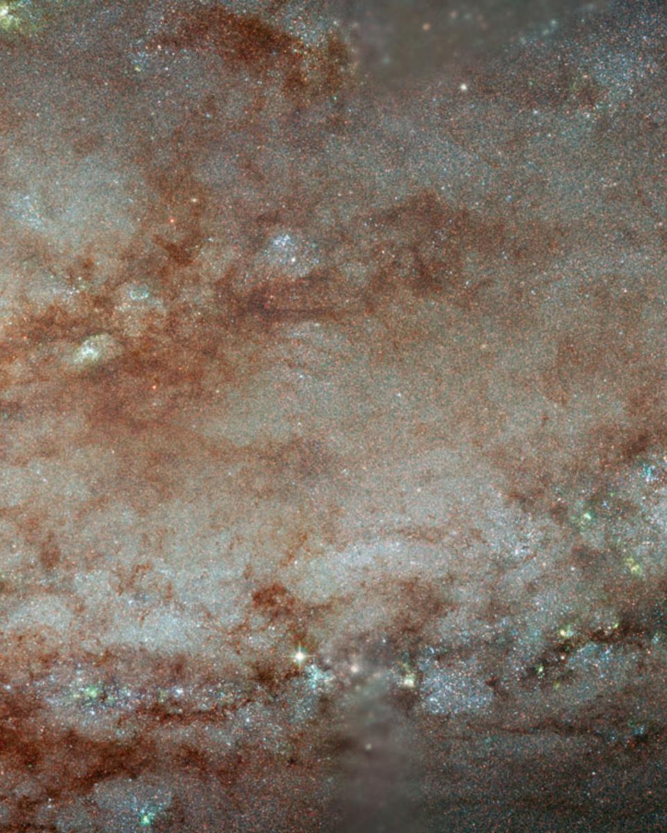 NGC 253 Close-Up