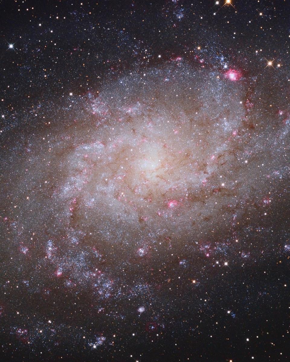 M33: Triangulum Galaxy