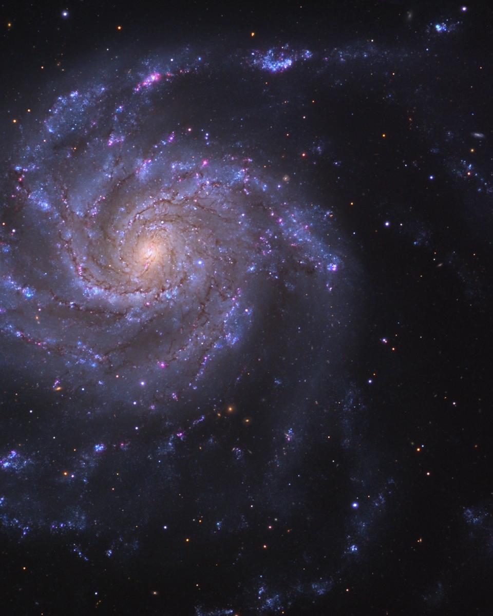 M101: The Pinwheel Galaxy