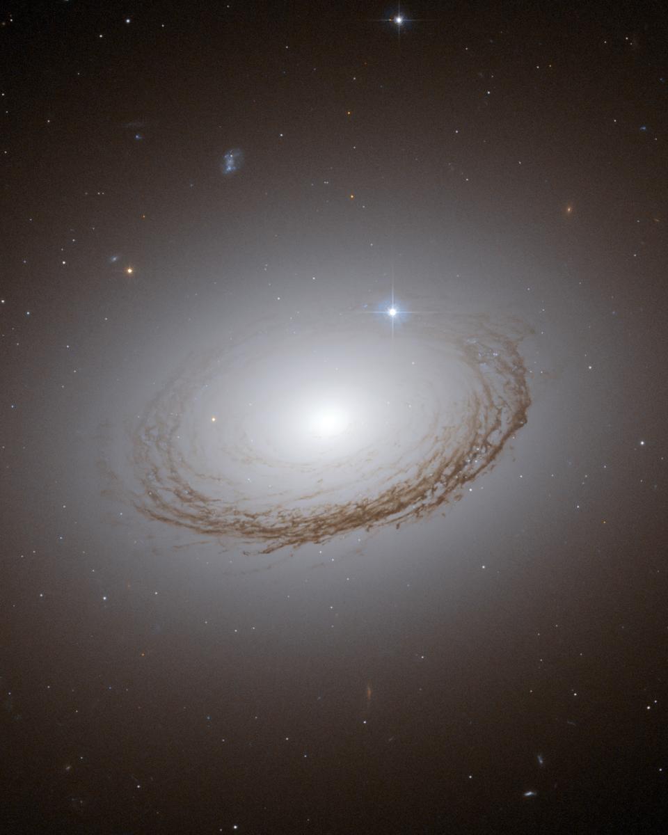 Unusual Dusty Galaxy NGC 7049