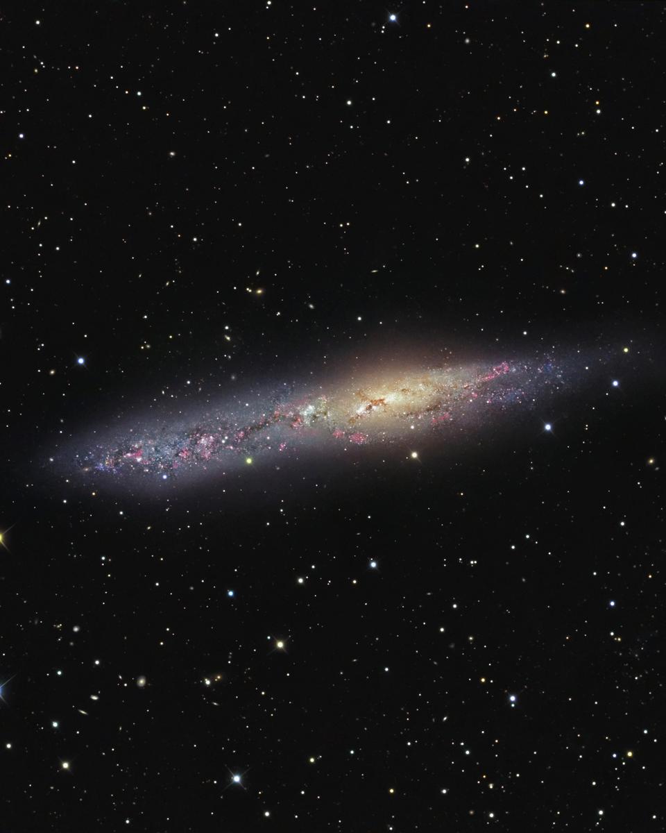 Irregular Galaxy NGC 55