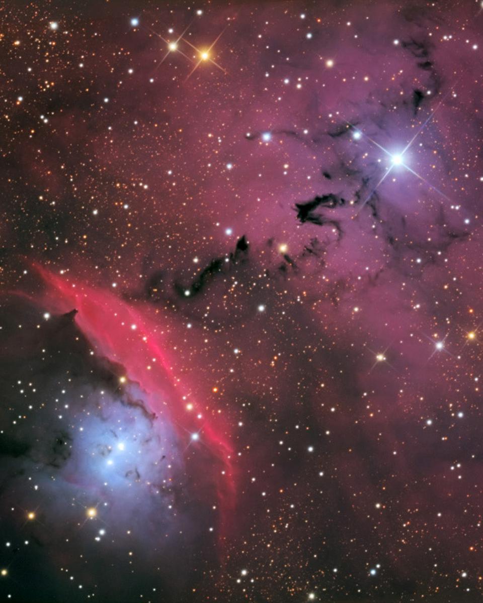 Stars, Dust and Nebula in NGC 6559