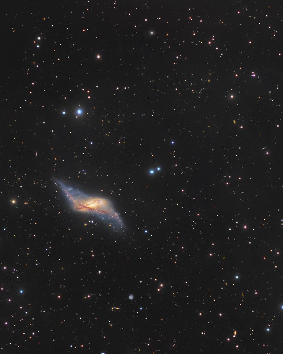 Polar Ring Galaxy NGC 660
