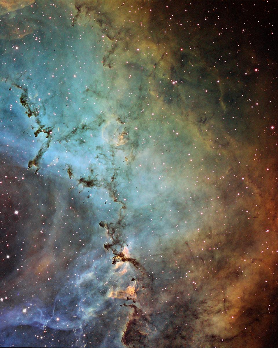 Dust Sculptures in the Rosette Nebula