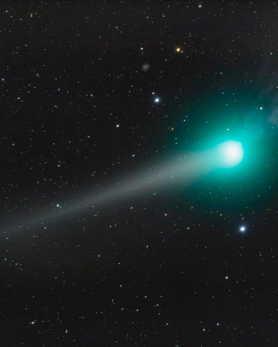 Two Tails of Comet Lulin