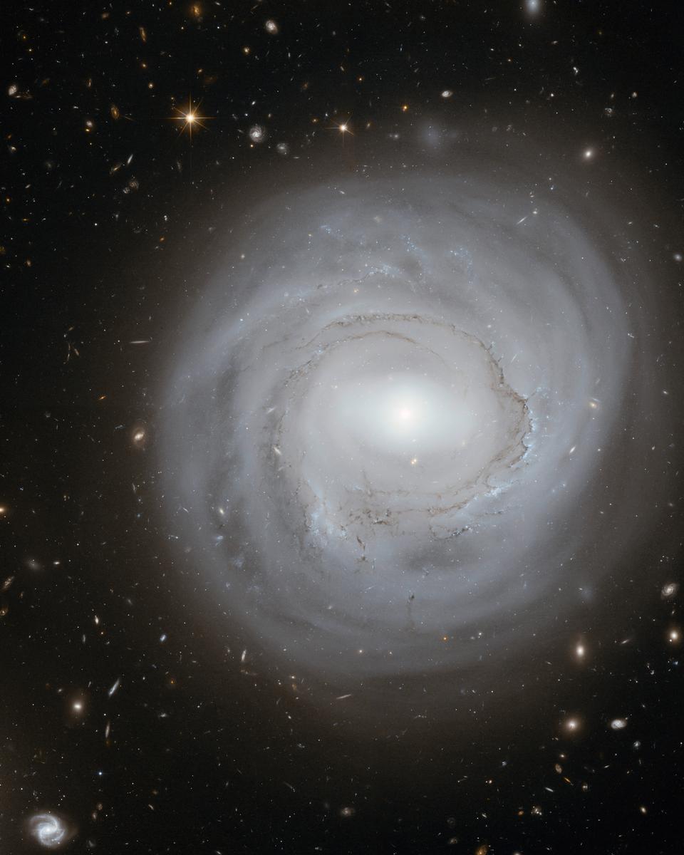 Anemic Galaxy NGC 4921 at the Edge