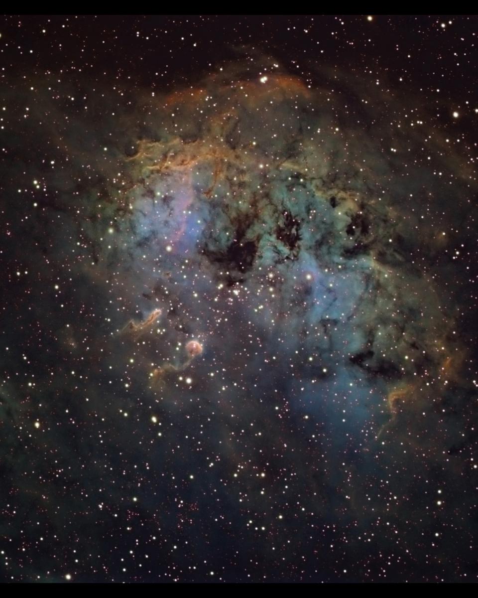 IC 410 and NGC 1893