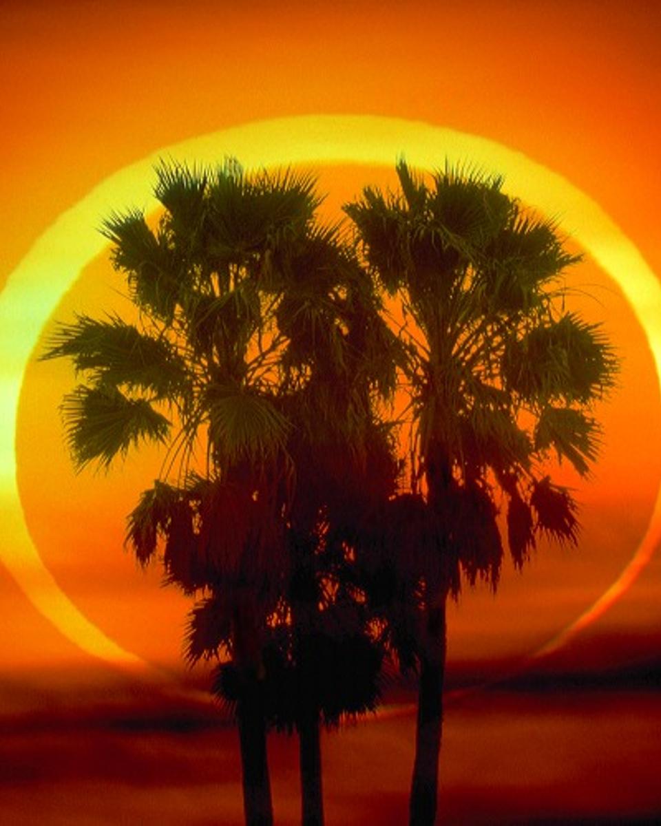 Annular Eclipse: The Ring of Fire