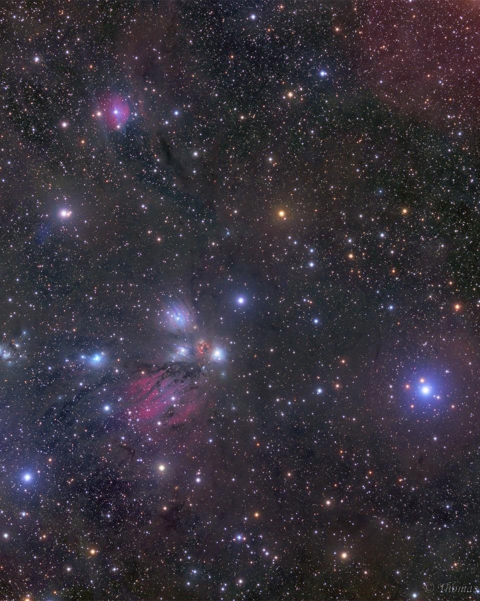 NGC 2170: Celestial Still Life
