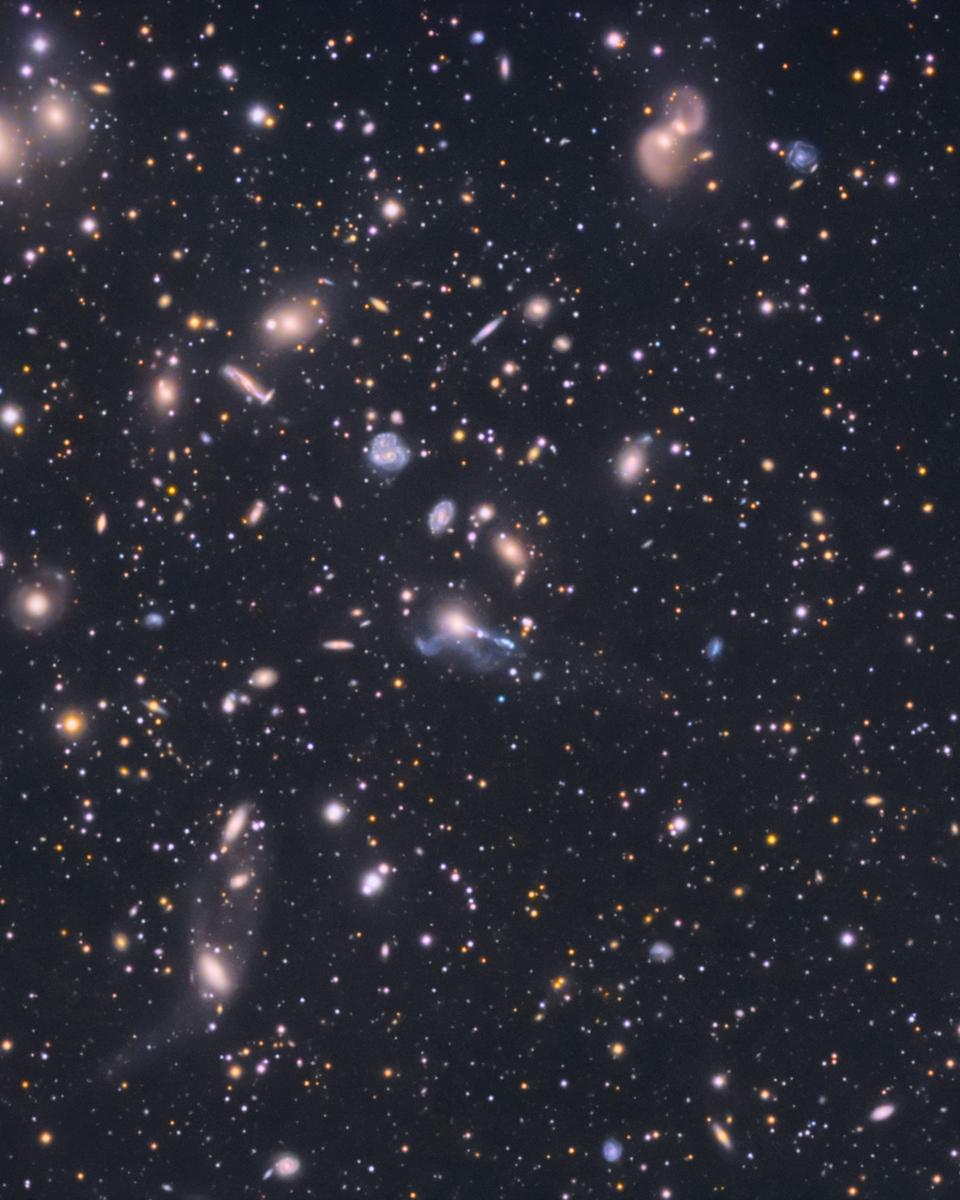 The Hercules Cluster of Galaxies