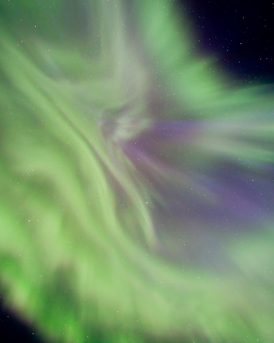 A Floral Aurora Corona