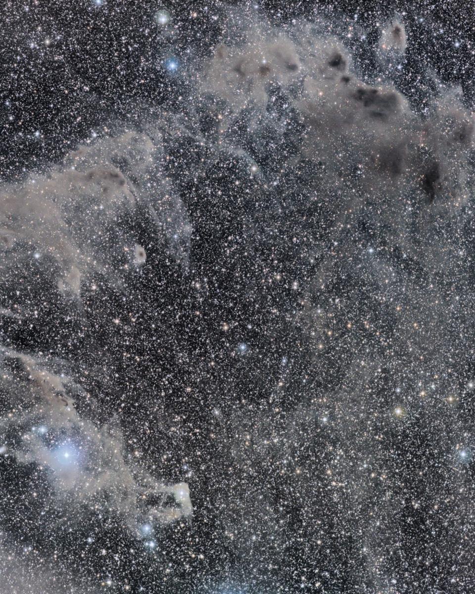 The Chameleon's Dark Nebulae