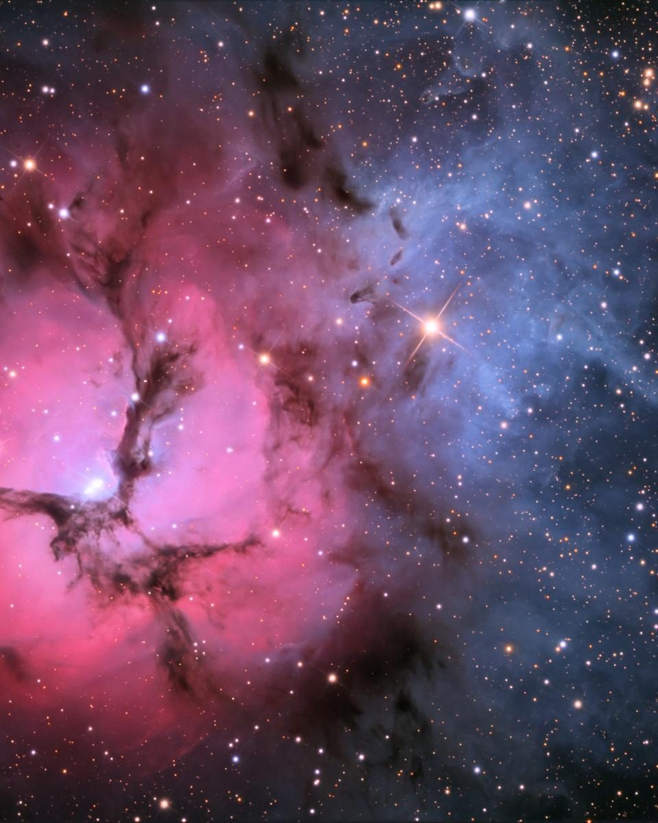 The Trifid Nebula in Stars and Dust