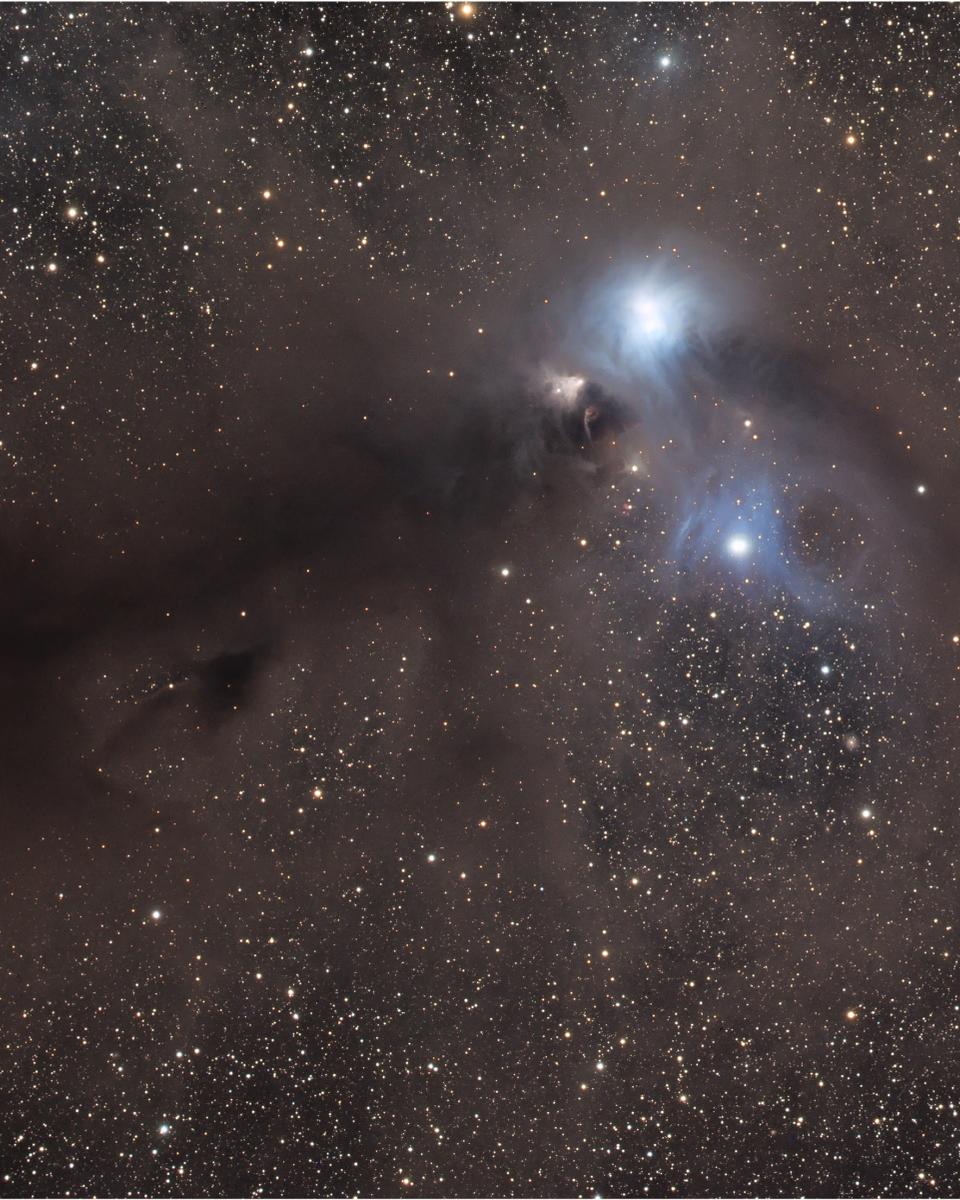 Stars and Dust Across Corona Australis