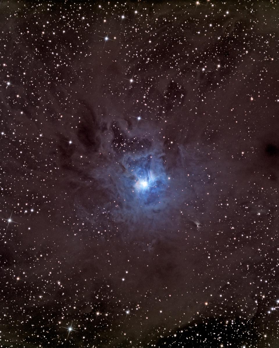 A Dusty Iris Nebula