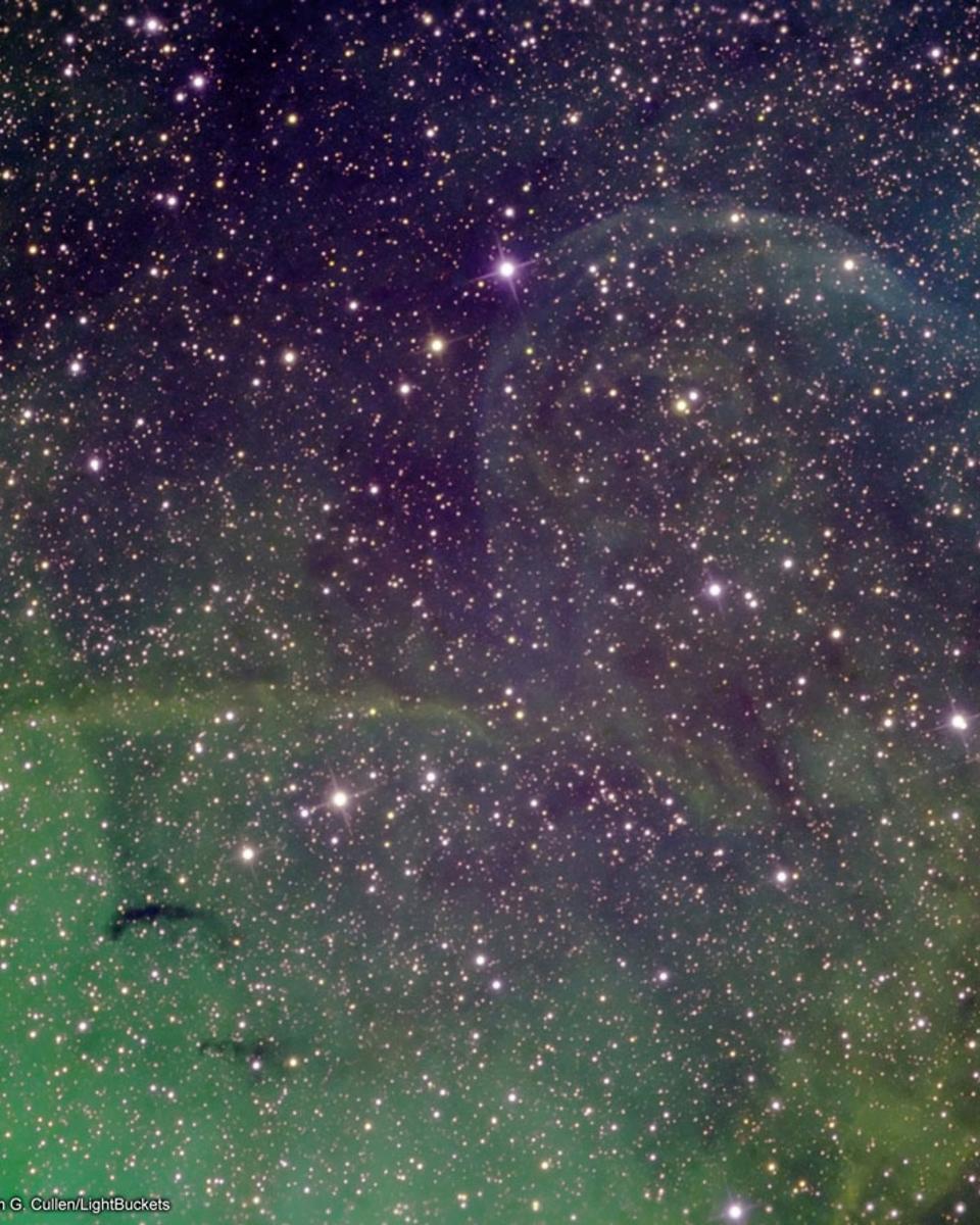 Possible Jet Blown Shells Near Microquasar Cygnus X-1