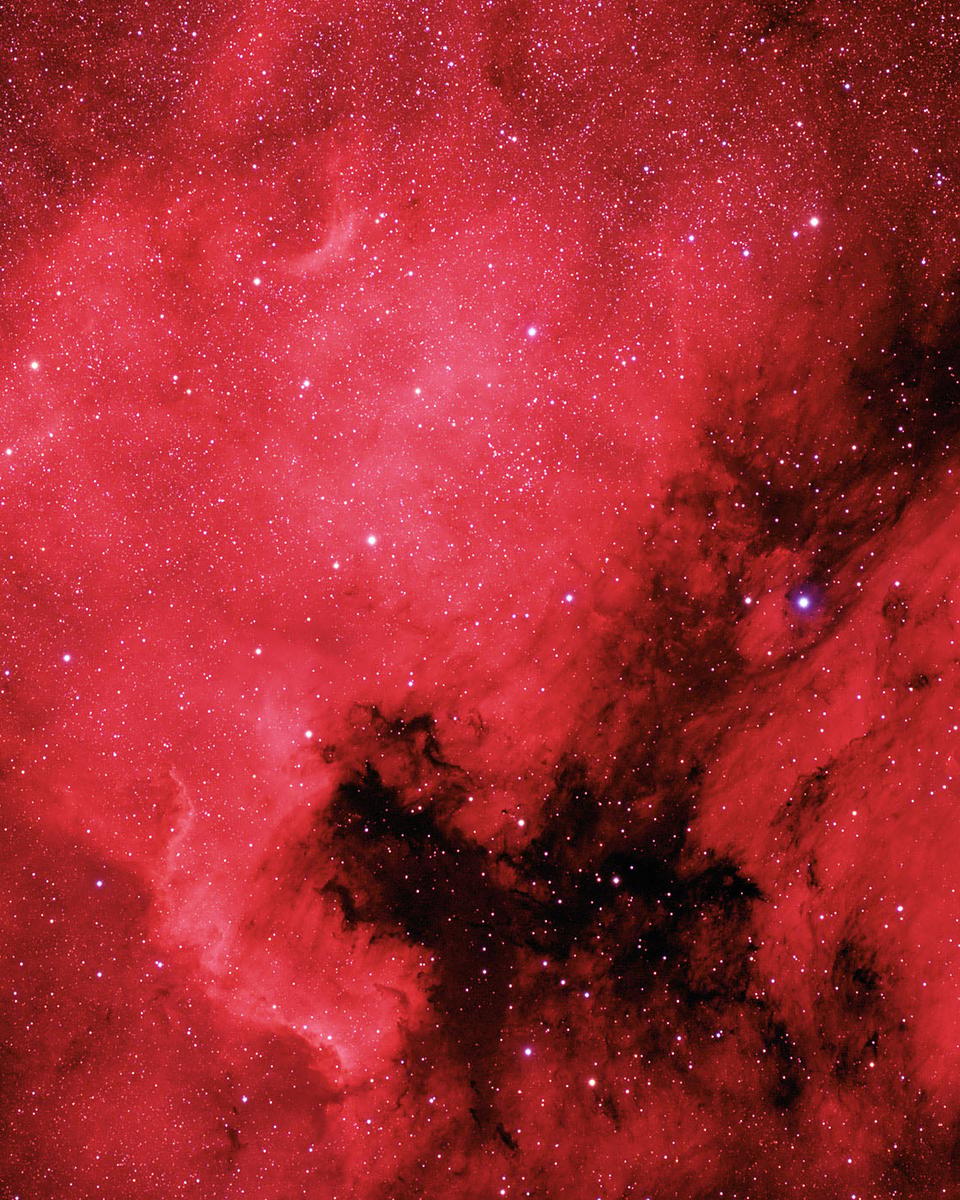 The North America and Pelican Nebulae