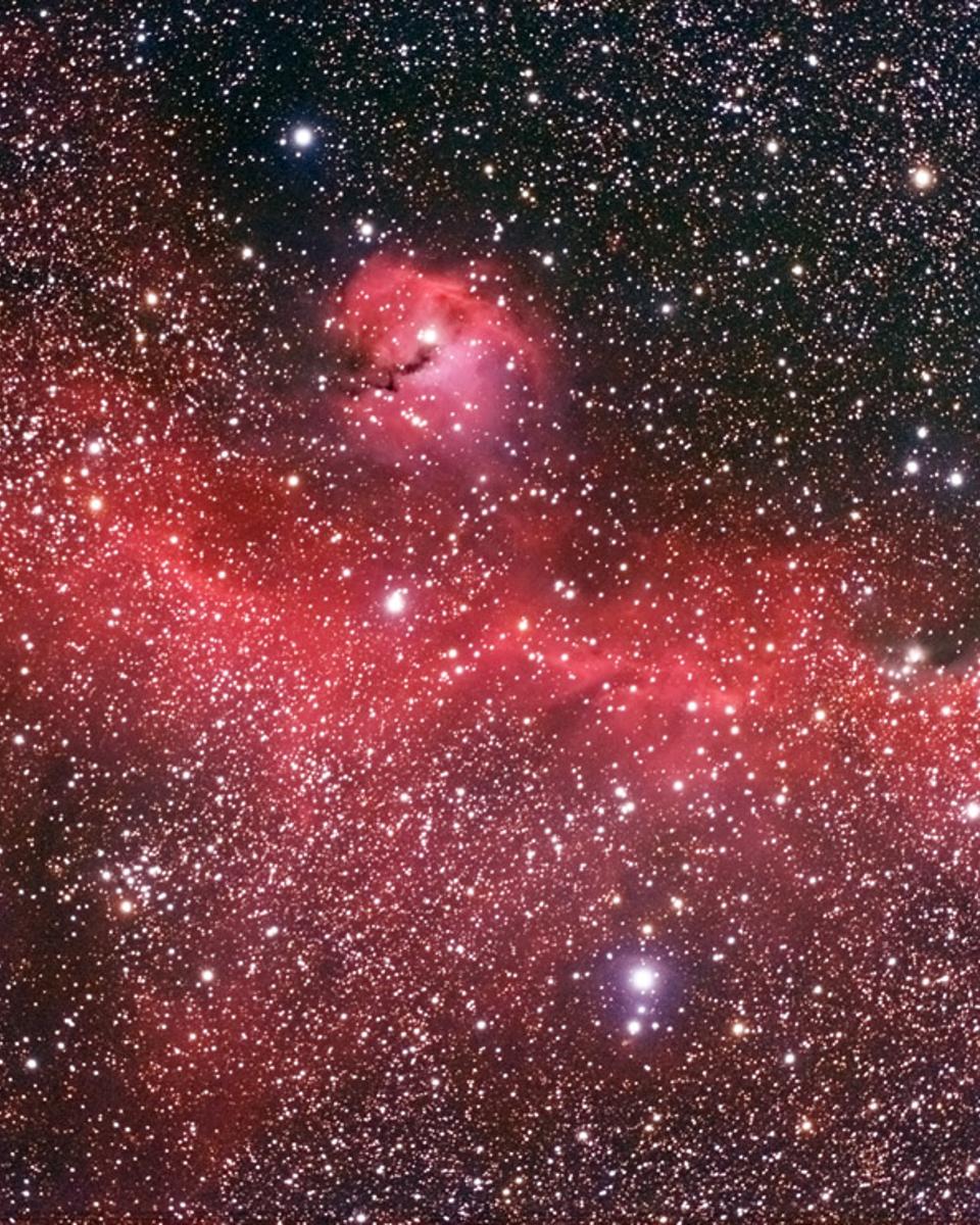 The Seagull Nebula