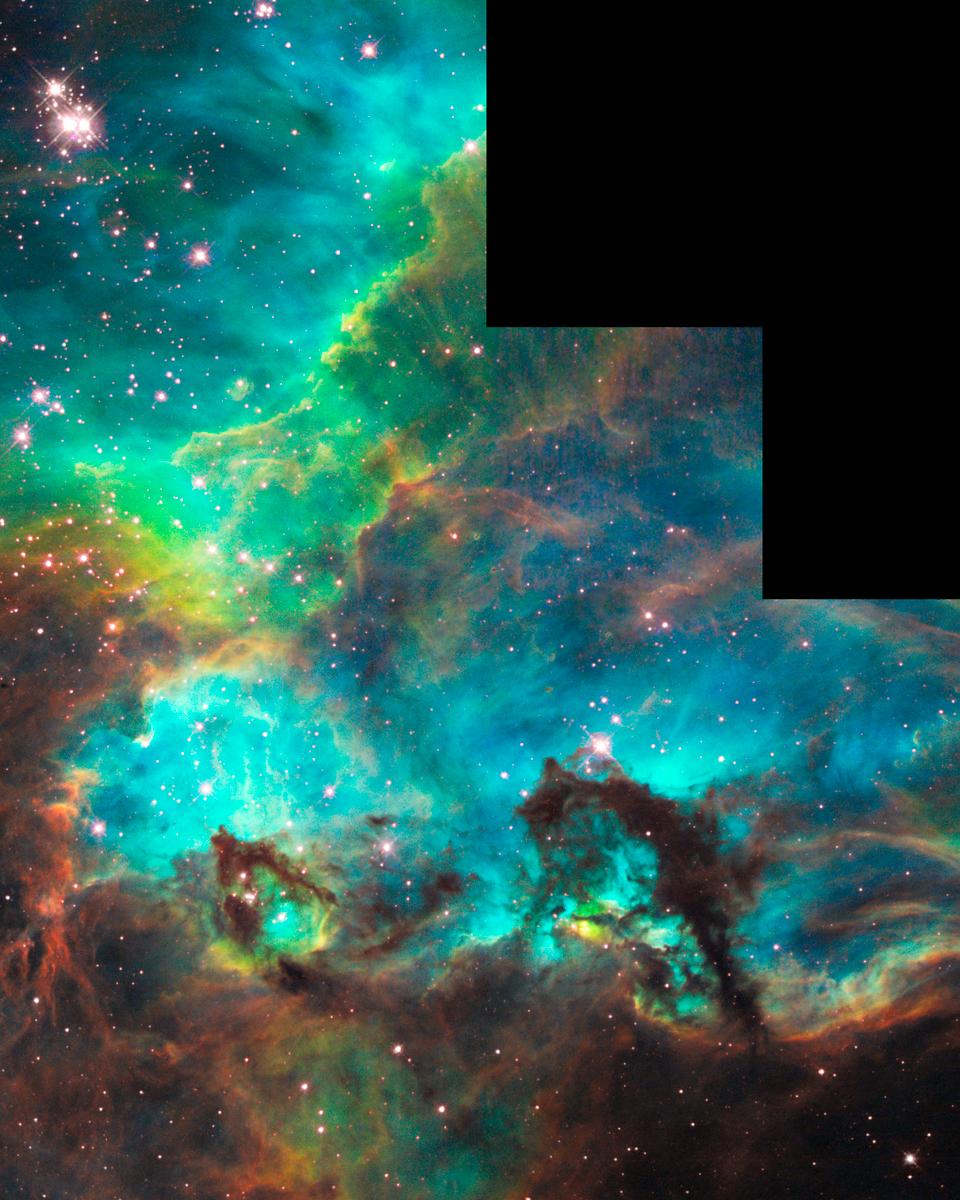 The Seahorse of the Large Magellanic Cloud
