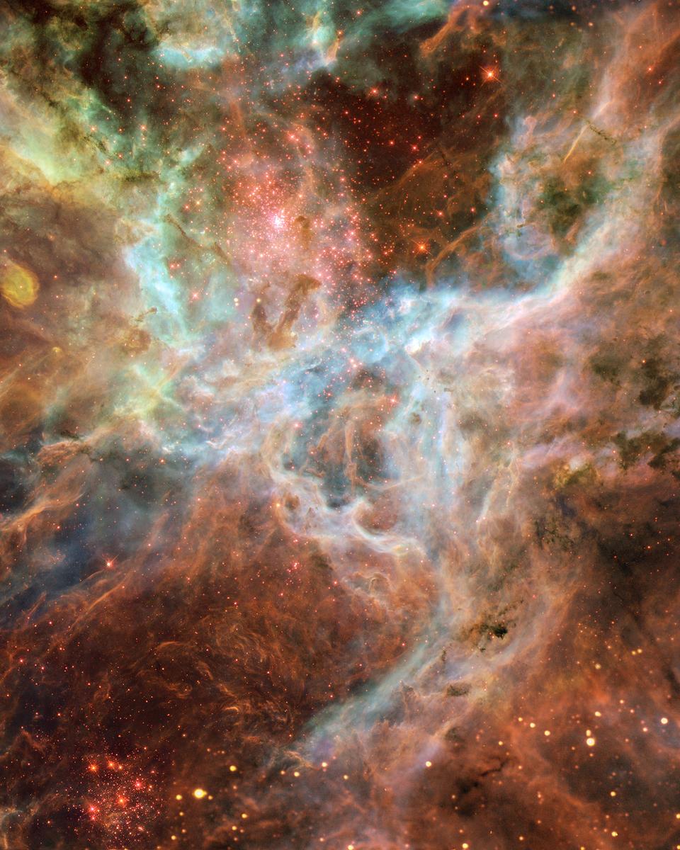 In the Heart of the Tarantula Nebula