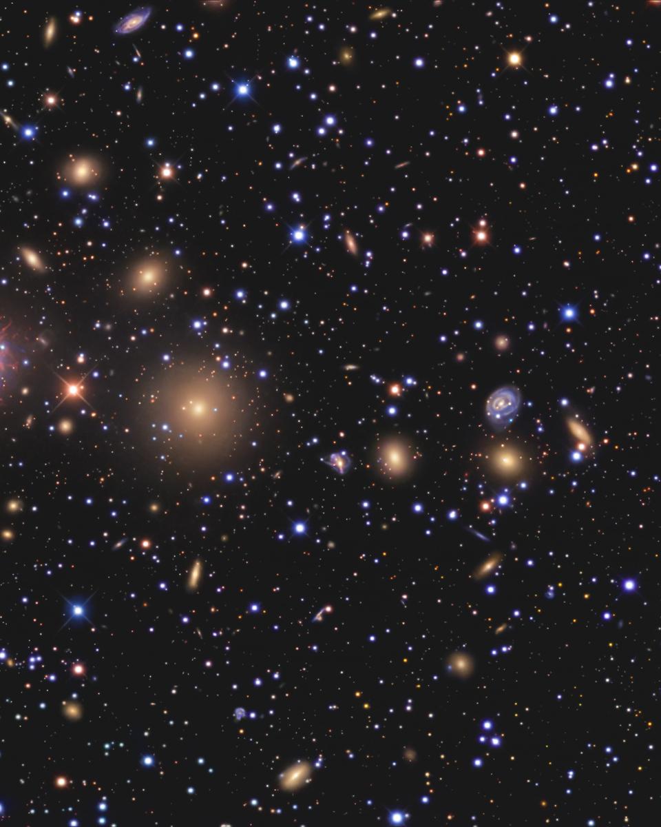 Galaxies of the Perseus Cluster