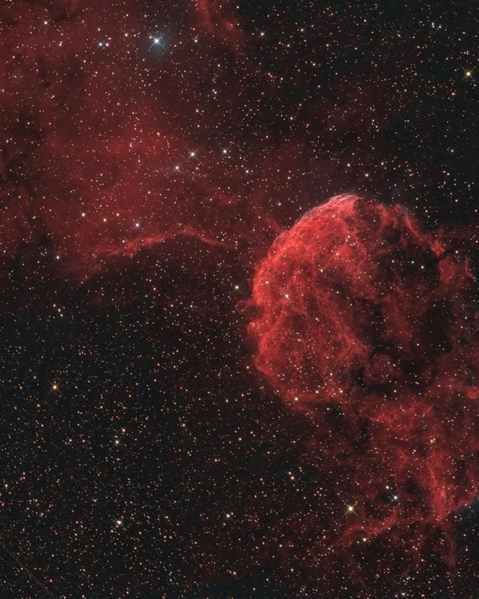 Elusive Jellyfish Nebula