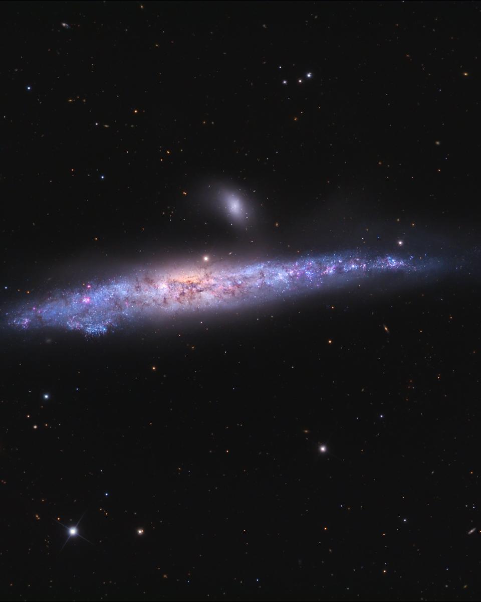 The Whale Galaxy