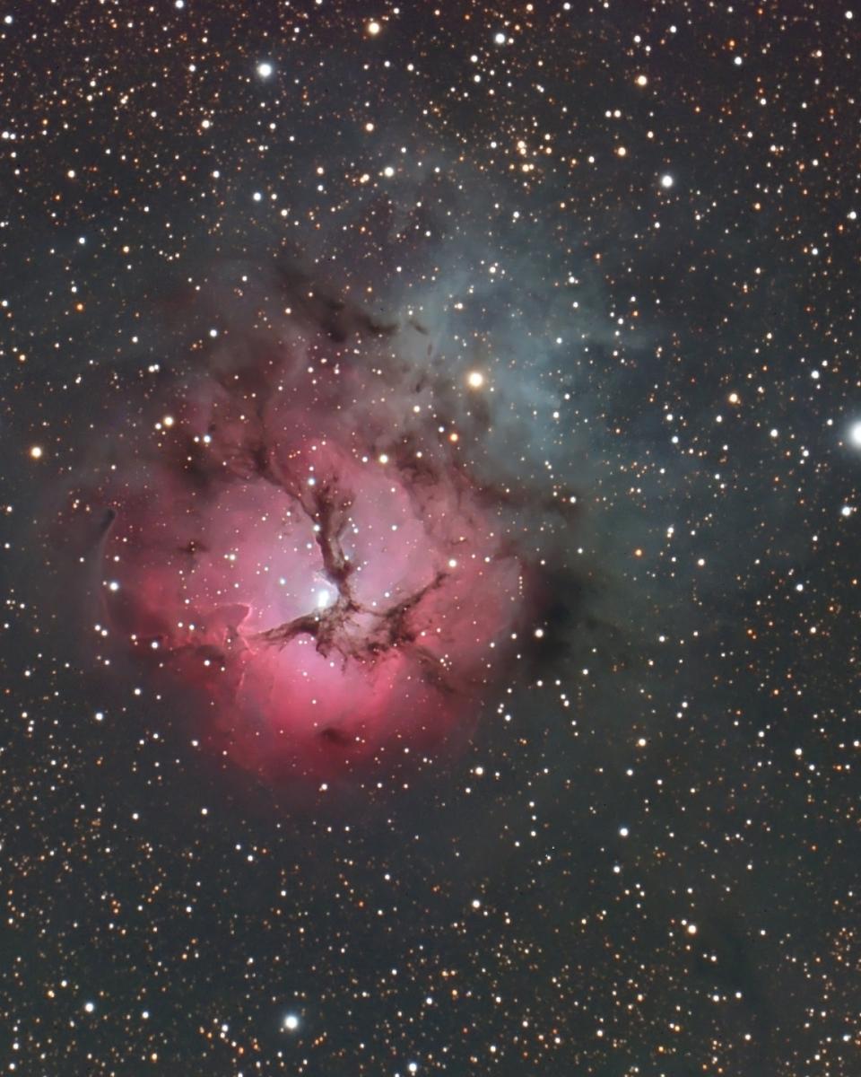A Beautiful Trifid