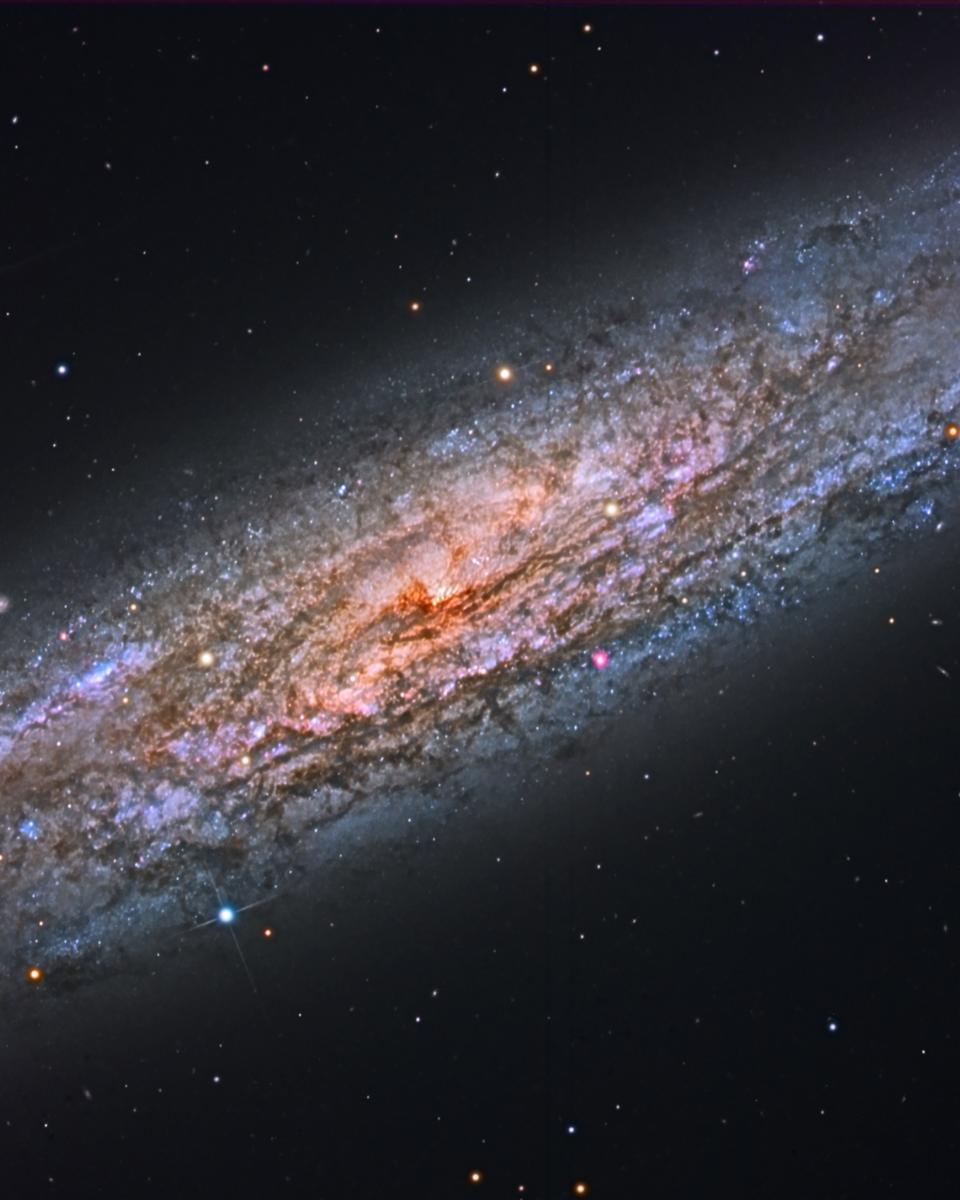 NGC 253: Dusty Island Universe