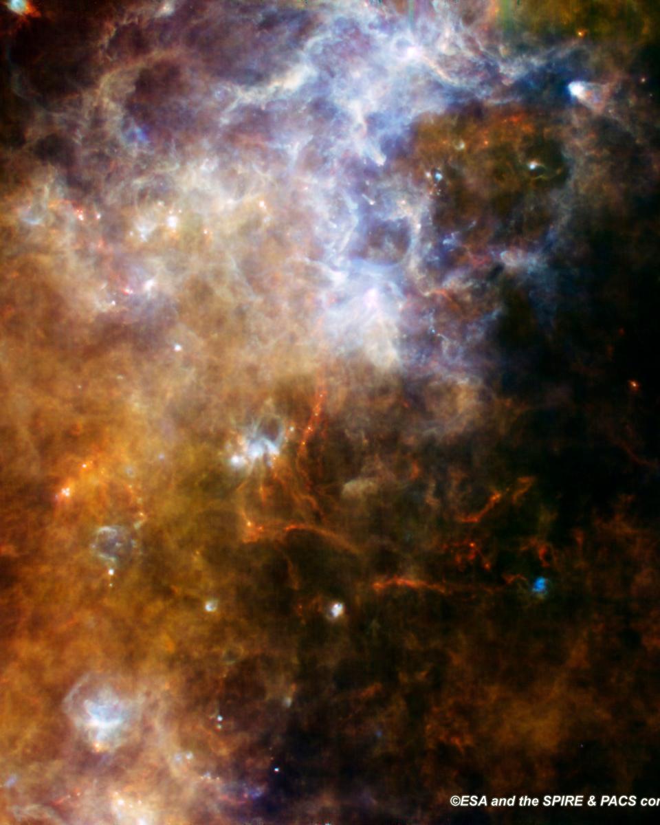 Herschel Views the Milky Way