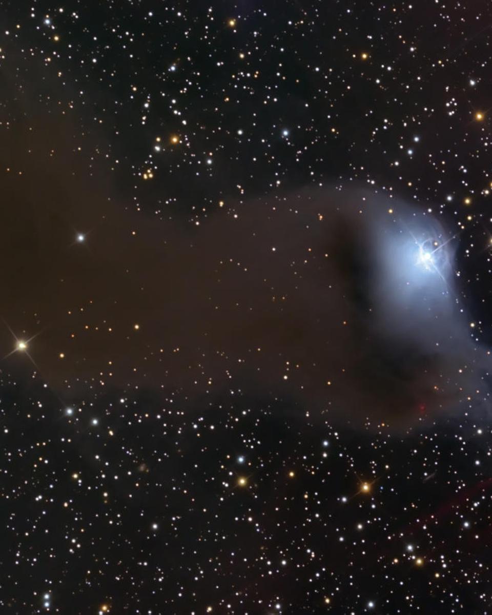 VdB 152: Reflection Nebula in Cepheus