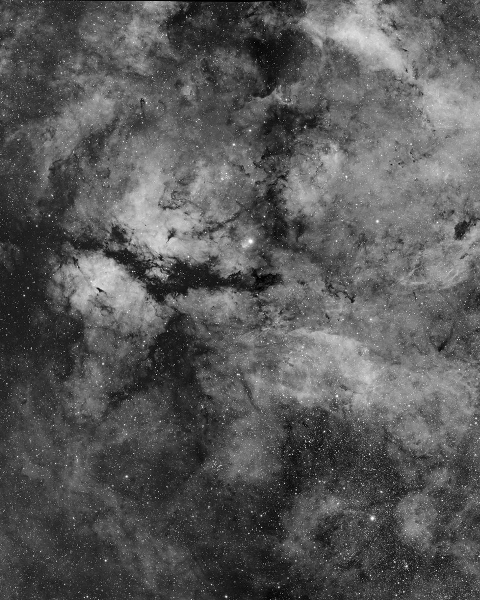 Central Cygnus Skyscape