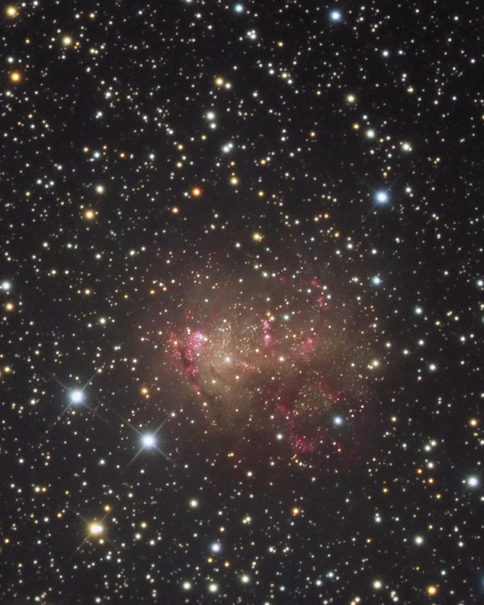 Starburst Galaxy IC 10