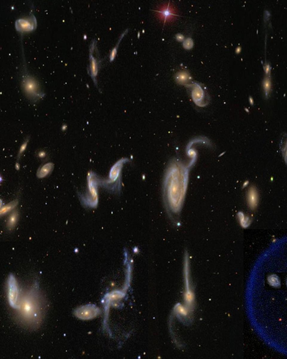 Galaxy Zoo Catalogs the Universe