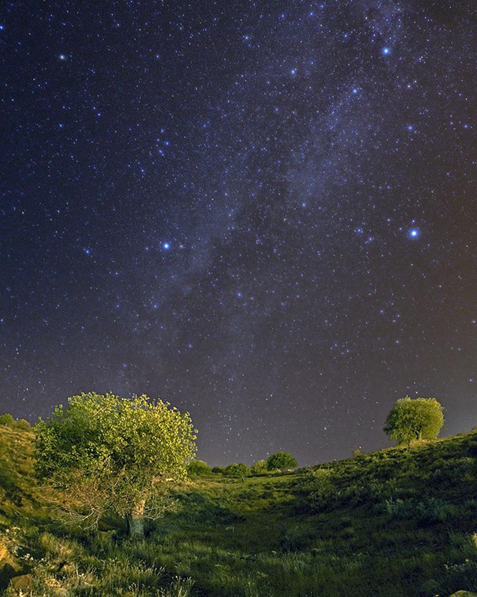 Summer Night in Astronomy Town