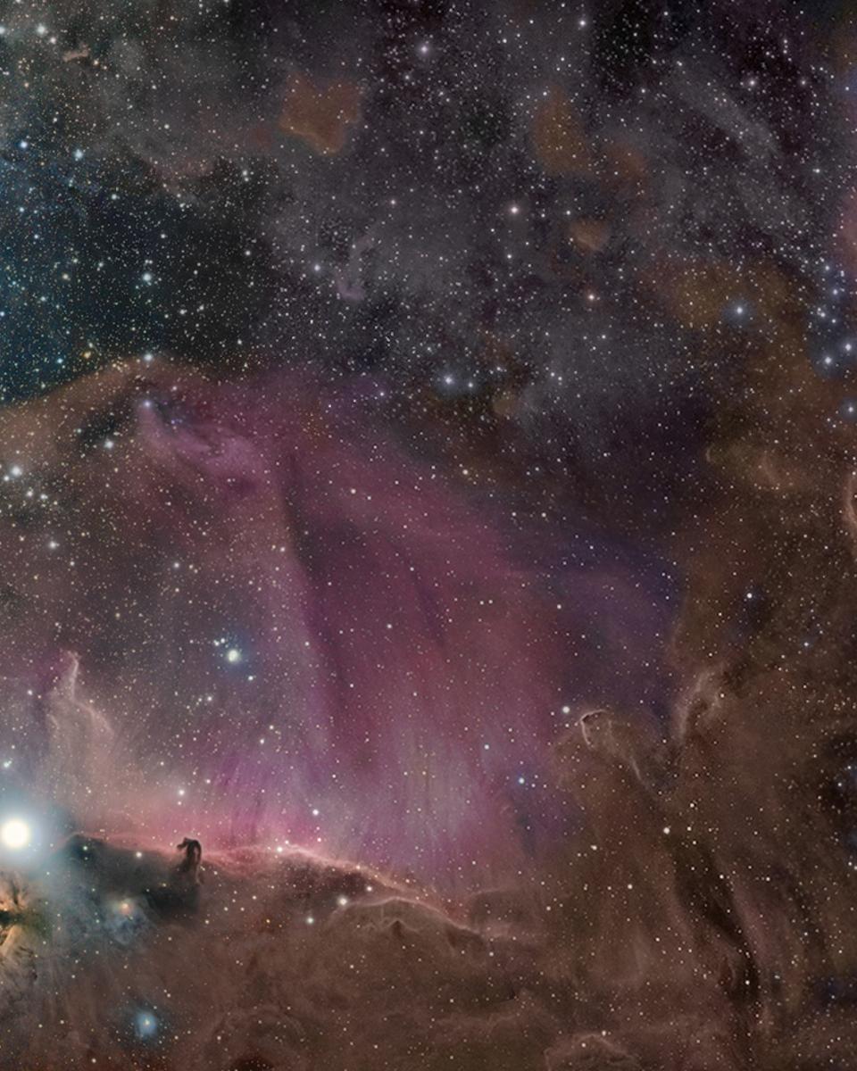Orion in Gas, Dust, and Stars