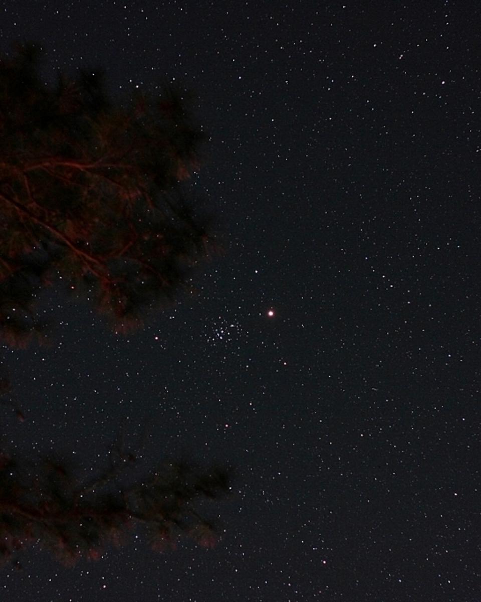 Mars in a Manger
