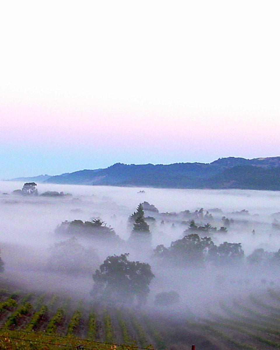 The Belt of Venus over the Valley of the Moon