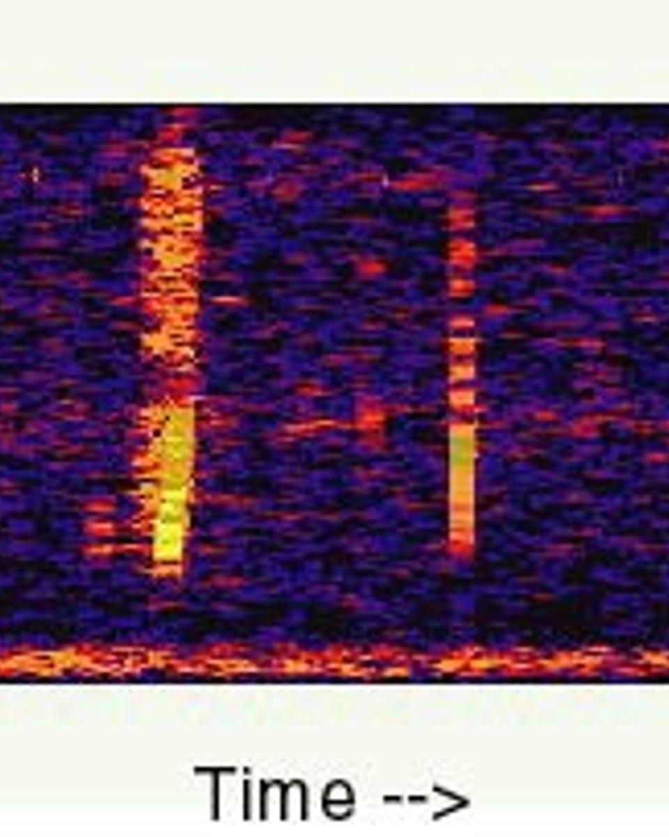 The Bloop: A Mysterious Sound from the Deep Ocean