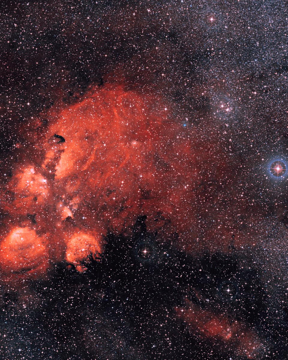 Wide Angle: The Cat's Paw Nebula
