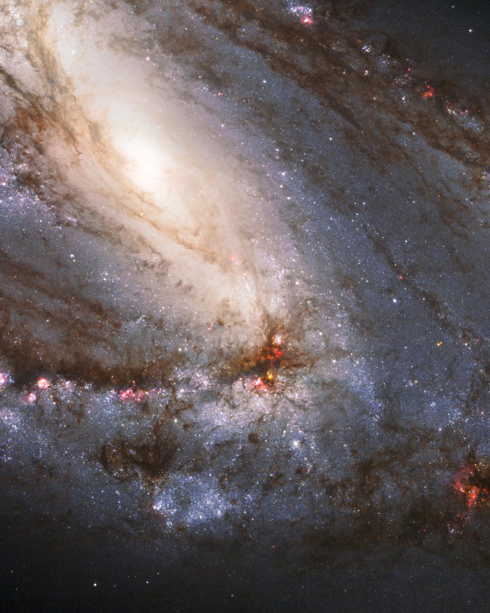 Unusual Spiral Galaxy M66 from Hubble