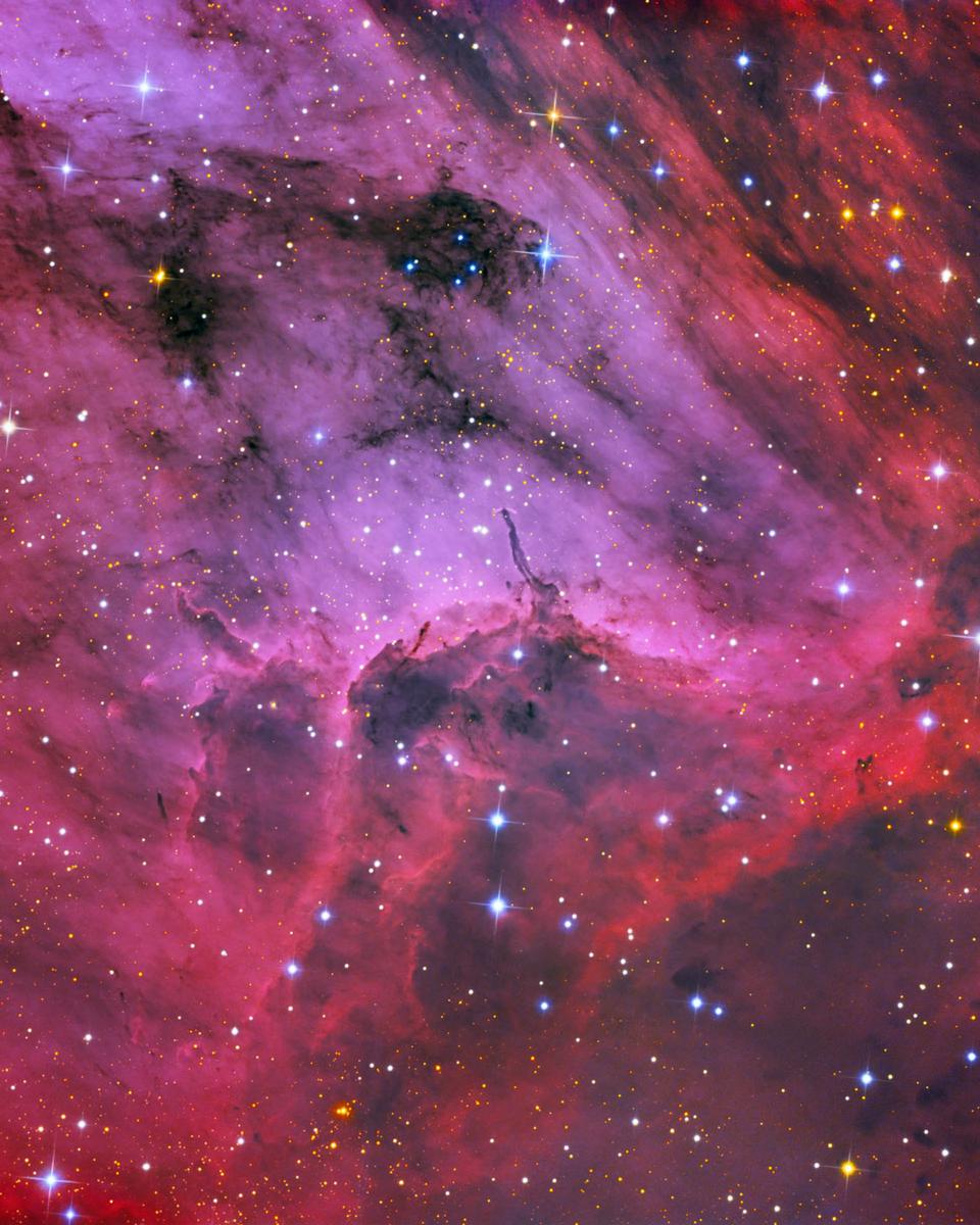 Pelican Nebula Close-up