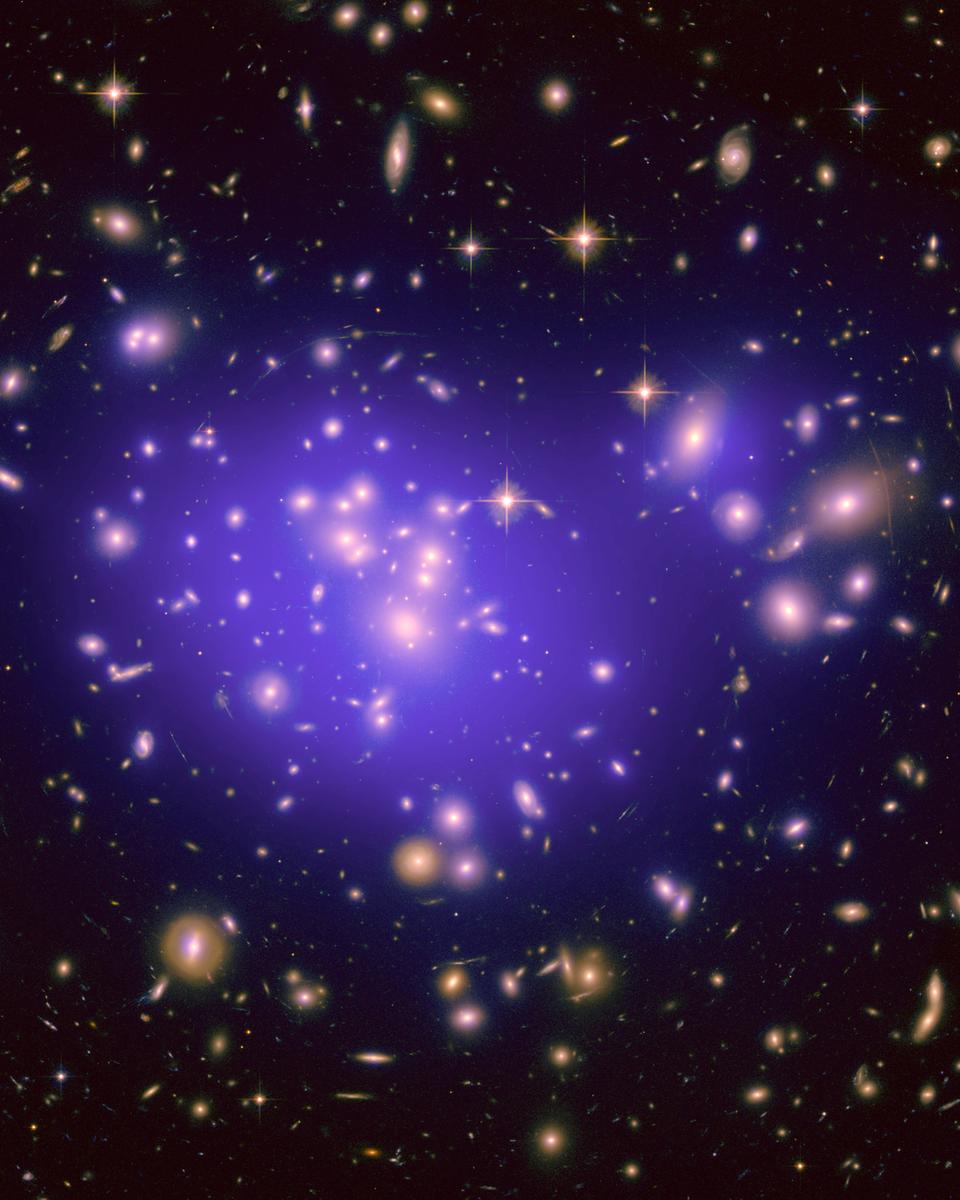 Galaxy Cluster Abell 1689 Magnifies the Dark Universe