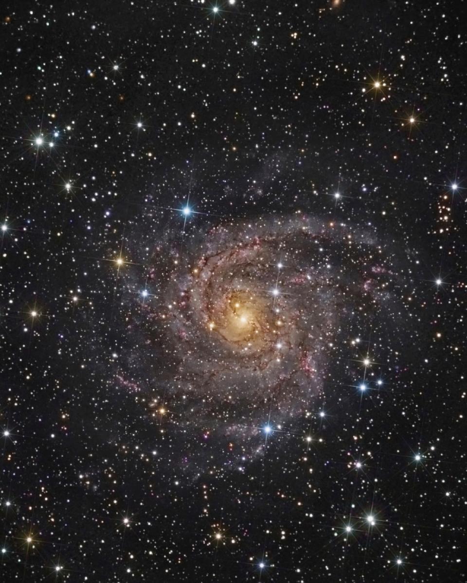 Hidden Galaxy IC 342