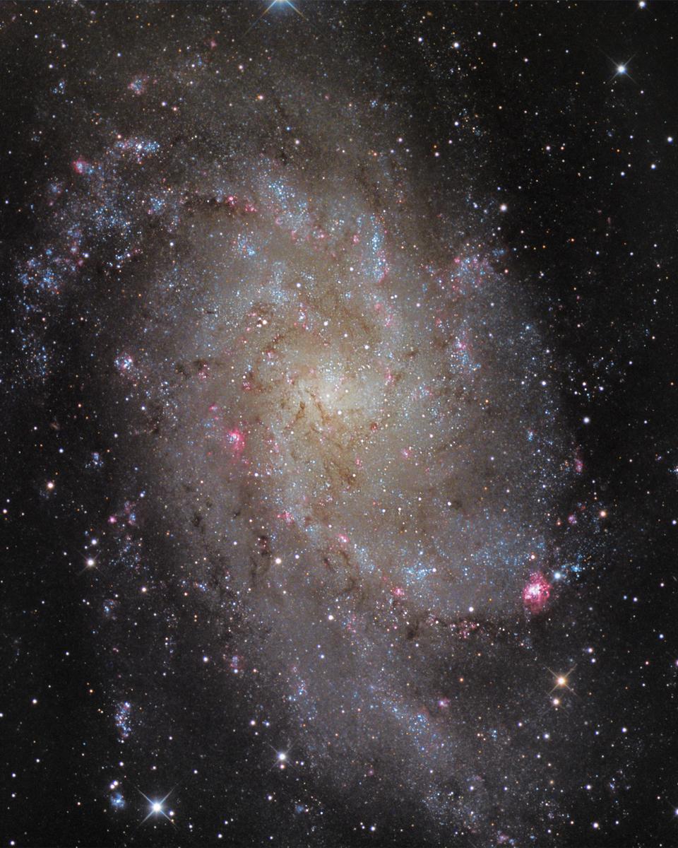 M33: Triangulum Galaxy