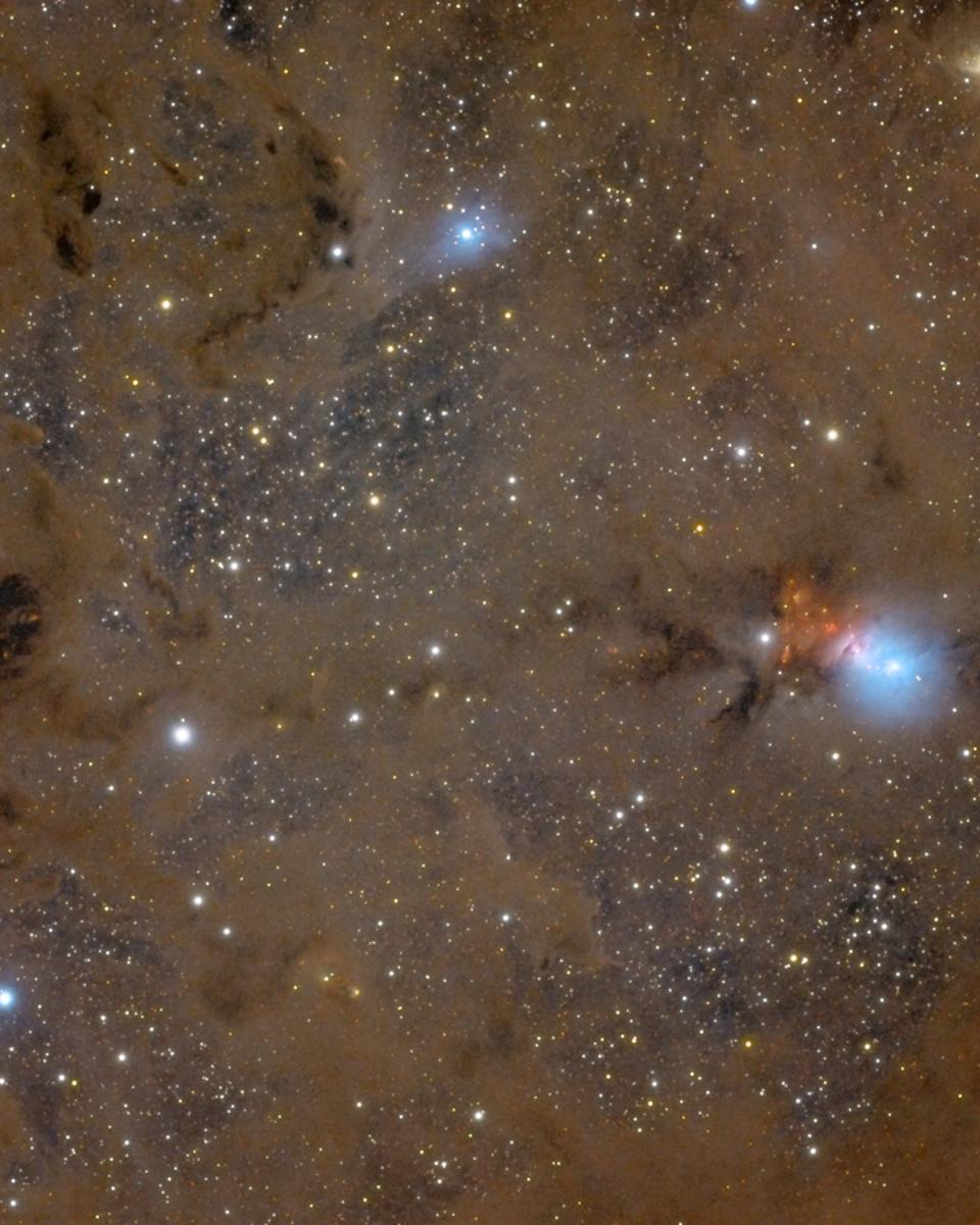 Stardust in Perseus
