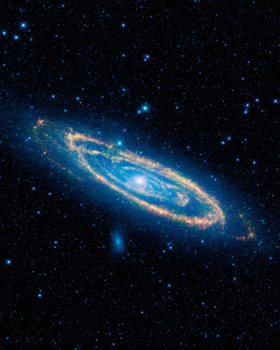 WISE Infrared Andromeda