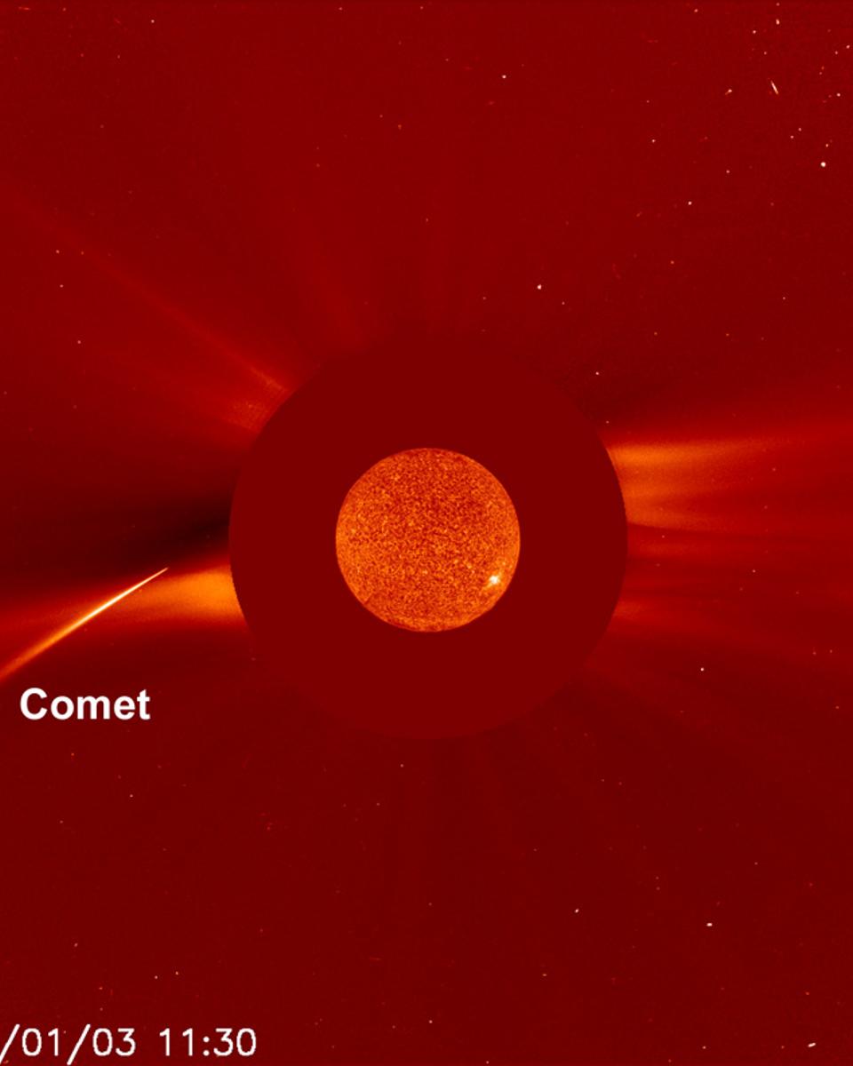 New Year Sungrazer